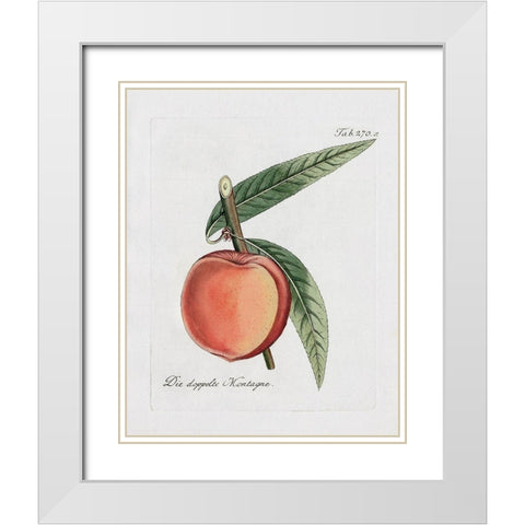 Peachy Keen II White Modern Wood Framed Art Print with Double Matting by Donovan, Kelly