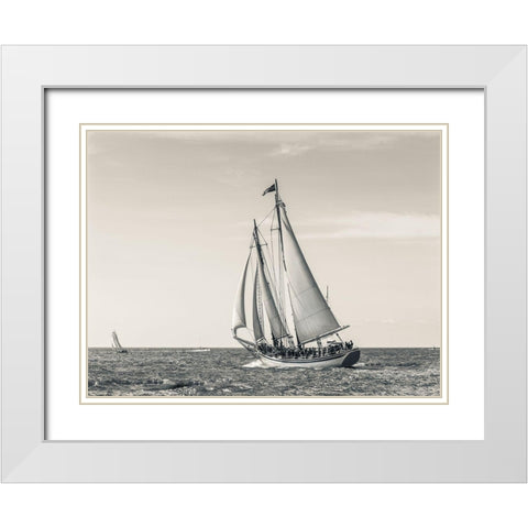 Ocean Schooner White Modern Wood Framed Art Print with Double Matting by Delimont, Danita