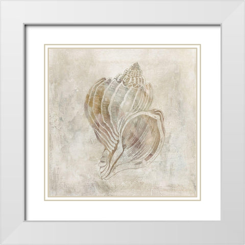 Seashell Illusion III White Modern Wood Framed Art Print with Double Matting by Robinson, Carol