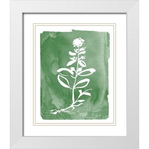 Green Botanical III White Modern Wood Framed Art Print with Double Matting by Donovan, Kelly