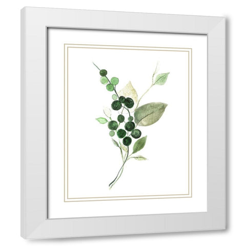 Sprigs in Green II White Modern Wood Framed Art Print with Double Matting by Tava Studios