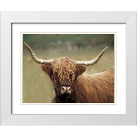 Highland Afternoon White Modern Wood Framed Art Print with Double Matting by Delimont, Danita