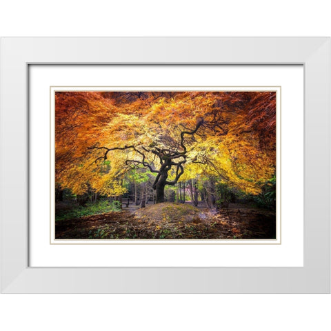 Hidden Jewel White Modern Wood Framed Art Print with Double Matting by Delimont, Danita