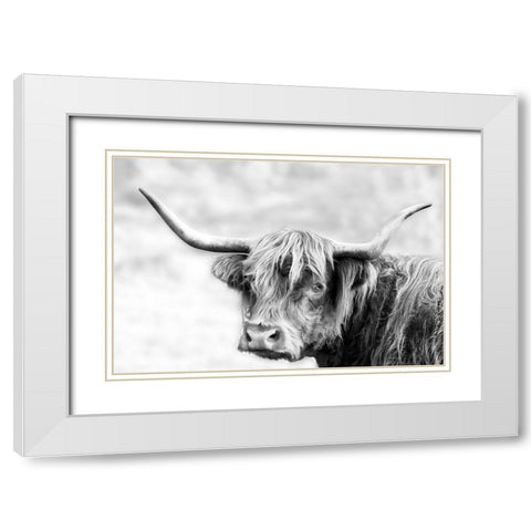 Hairy Highland Hazy Day White Modern Wood Framed Art Print with Double Matting by Delimont, Danita