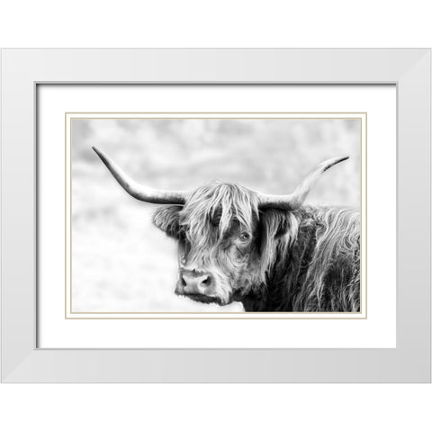 Hairy Highland Hazy Day White Modern Wood Framed Art Print with Double Matting by Delimont, Danita