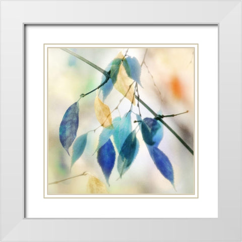 Colors for Joy I White Modern Wood Framed Art Print with Double Matting by Weisz, Irene