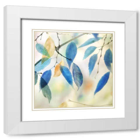 Colors for Joy II White Modern Wood Framed Art Print with Double Matting by Weisz, Irene