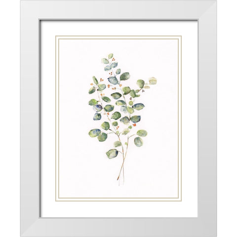 Eucalyptus II White Modern Wood Framed Art Print with Double Matting by Swatland, Sally