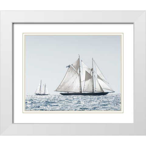 Cape Ann Sails White Modern Wood Framed Art Print with Double Matting by Delimont, Danita