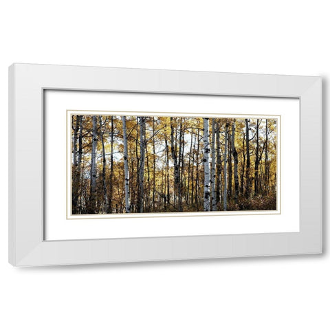 Sunny Grove White Modern Wood Framed Art Print with Double Matting by Robinson, Carol