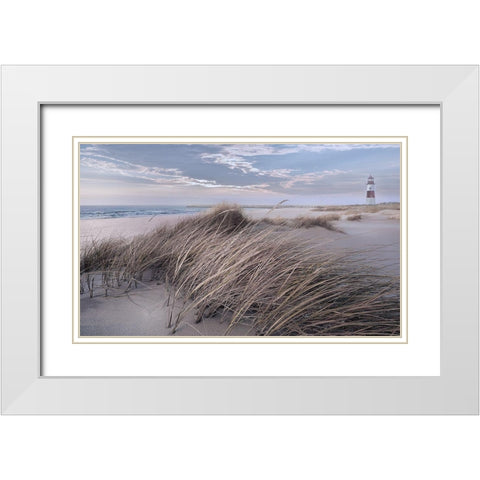 Winter Wind White Modern Wood Framed Art Print with Double Matting by Calascibetta, Mike