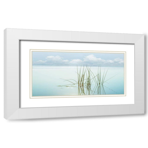 Reflections White Modern Wood Framed Art Print with Double Matting by Calascibetta, Mike