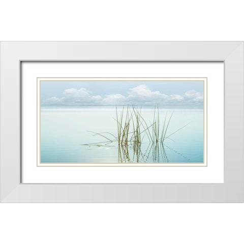 Reflections White Modern Wood Framed Art Print with Double Matting by Calascibetta, Mike