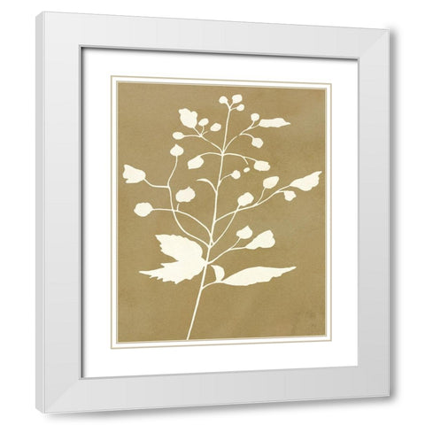 Honey Botanical II White Modern Wood Framed Art Print with Double Matting by Jill, Susan