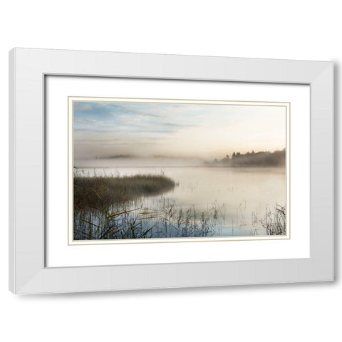 A New Day White Modern Wood Framed Art Print with Double Matting by Weisz, Irene