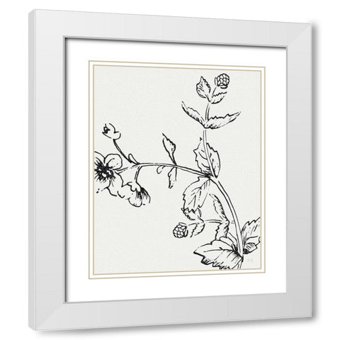 Botanical Study II White Modern Wood Framed Art Print with Double Matting by Jill, Susan