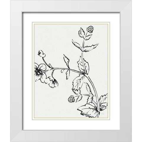 Botanical Study II White Modern Wood Framed Art Print with Double Matting by Jill, Susan