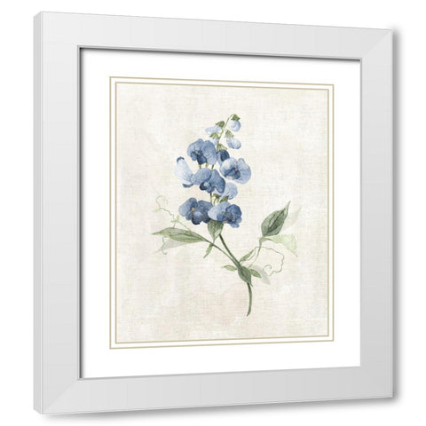 Farmhouse Periwinkle II White Modern Wood Framed Art Print with Double Matting by Robinson, Carol