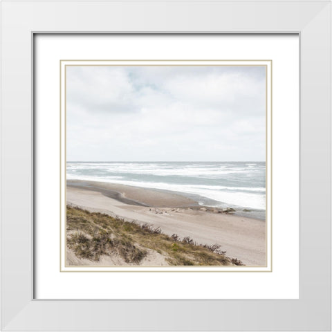 Windswept White Modern Wood Framed Art Print with Double Matting by Delimont, Danita