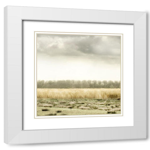 Meadowland White Modern Wood Framed Art Print with Double Matting by Delimont, Danita