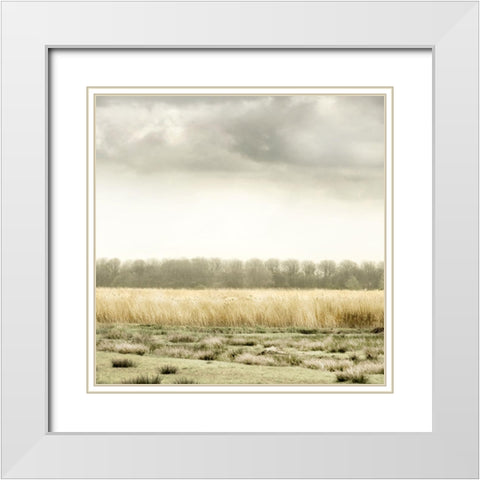 Meadowland White Modern Wood Framed Art Print with Double Matting by Delimont, Danita