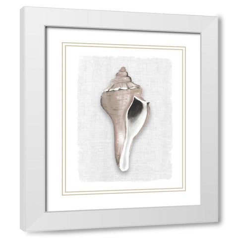 Sea Front Shell II White Modern Wood Framed Art Print with Double Matting by Robinson, Carol