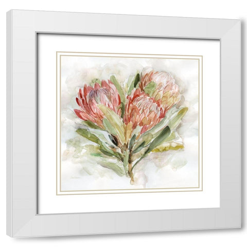 Pale Protea II White Modern Wood Framed Art Print with Double Matting by Robinson, Carol