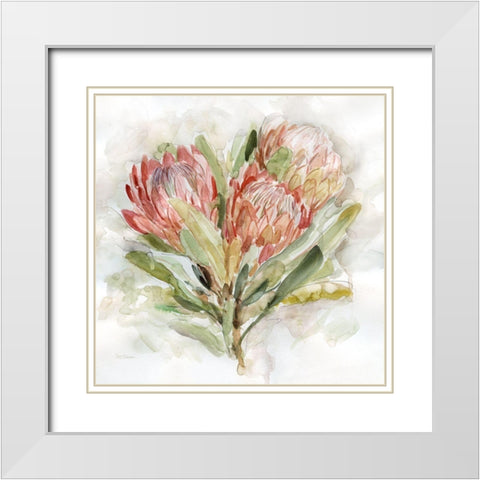 Pale Protea II White Modern Wood Framed Art Print with Double Matting by Robinson, Carol