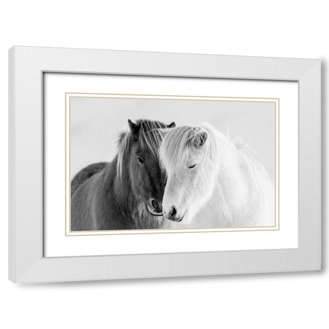 South Iceland White Modern Wood Framed Art Print with Double Matting by Delimont, Danita