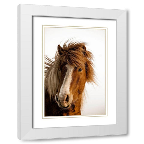 Sunset Light White Modern Wood Framed Art Print with Double Matting by Delimont, Danita