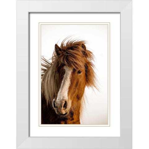 Sunset Light White Modern Wood Framed Art Print with Double Matting by Delimont, Danita