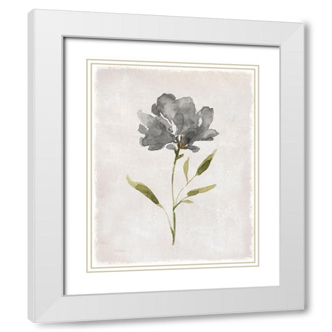 Botanical Beauty II White Modern Wood Framed Art Print with Double Matting by Robinson, Carol