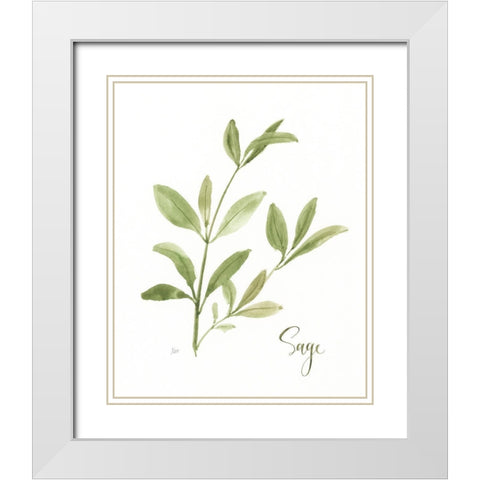 Herb Sage White Modern Wood Framed Art Print with Double Matting by Nan