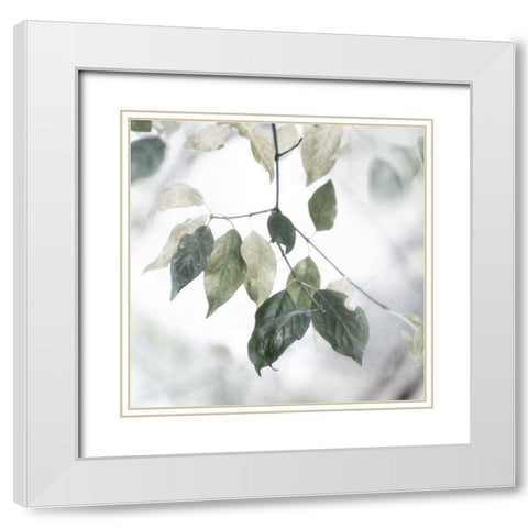 Quiet Green I White Modern Wood Framed Art Print with Double Matting by Weisz, Irene