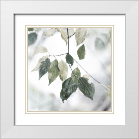 Quiet Green I White Modern Wood Framed Art Print with Double Matting by Weisz, Irene