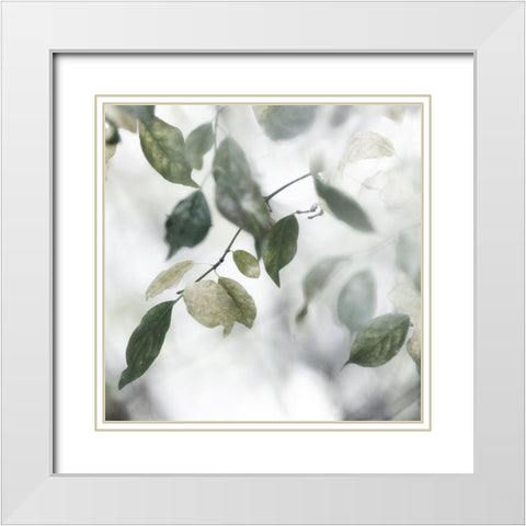 Quiet Green II White Modern Wood Framed Art Print with Double Matting by Weisz, Irene