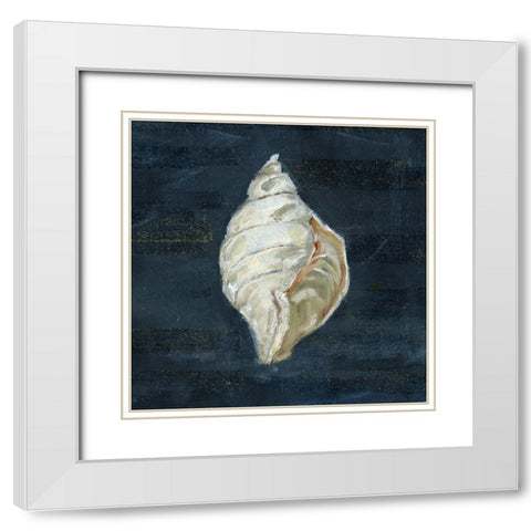 Night Shell II White Modern Wood Framed Art Print with Double Matting by Swatland, Sally