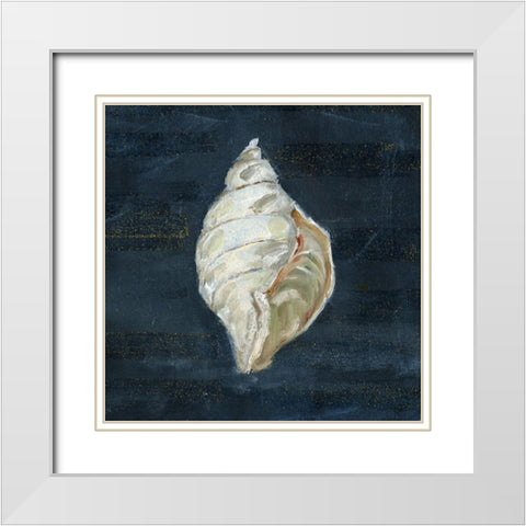 Night Shell II White Modern Wood Framed Art Print with Double Matting by Swatland, Sally