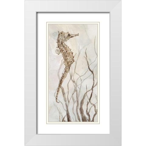 Neutral Seahorse I White Modern Wood Framed Art Print with Double Matting by Robinson, Carol