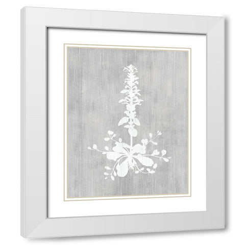 Botany Beauty II White Modern Wood Framed Art Print with Double Matting by CAD Designs