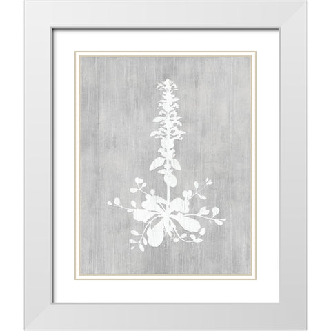 Botany Beauty II White Modern Wood Framed Art Print with Double Matting by CAD Designs
