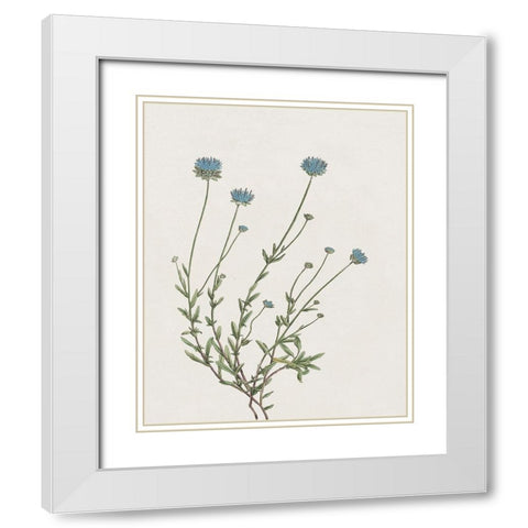 Blue Wispy I White Modern Wood Framed Art Print with Double Matting by Donovan, Kelly