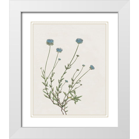 Blue Wispy I White Modern Wood Framed Art Print with Double Matting by Donovan, Kelly