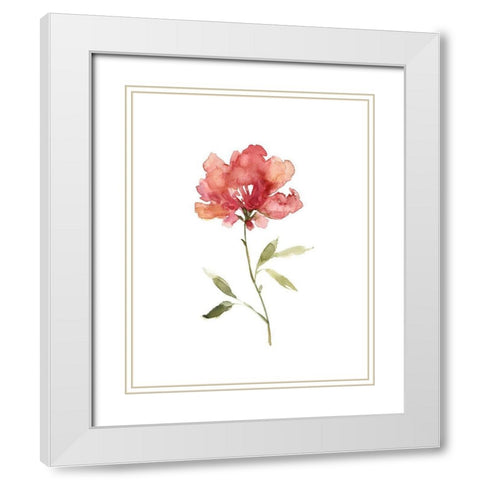 Botanical Beauty I White Modern Wood Framed Art Print with Double Matting by Robinson, Carol