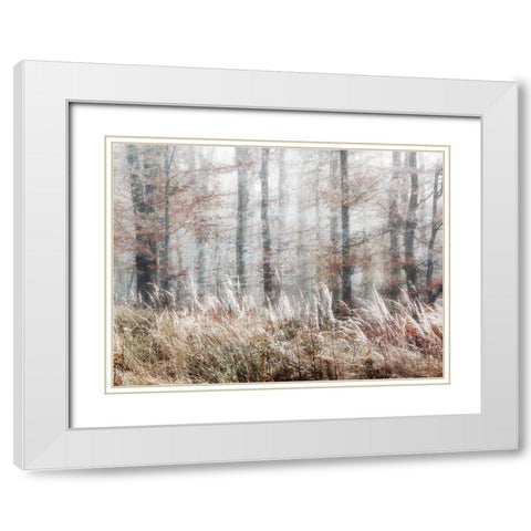Always Magic in the Woods White Modern Wood Framed Art Print with Double Matting by Weisz, Irene
