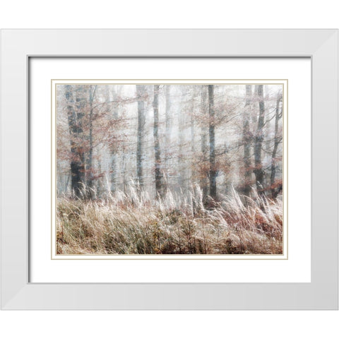 Always Magic in the Woods White Modern Wood Framed Art Print with Double Matting by Weisz, Irene