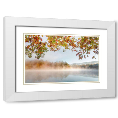 Autumn Misty White Modern Wood Framed Art Print with Double Matting by Delimont, Danita