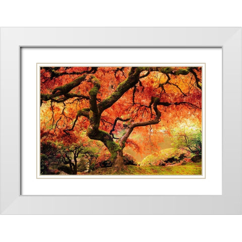 Autumn Symphony White Modern Wood Framed Art Print with Double Matting by Delimont, Danita