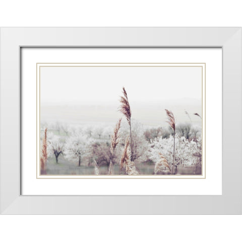 Breeze of Summer White Modern Wood Framed Art Print with Double Matting by Weisz, Irene