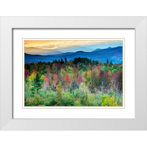 Natures Kaleidoscope White Modern Wood Framed Art Print with Double Matting by Delimont, Danita
